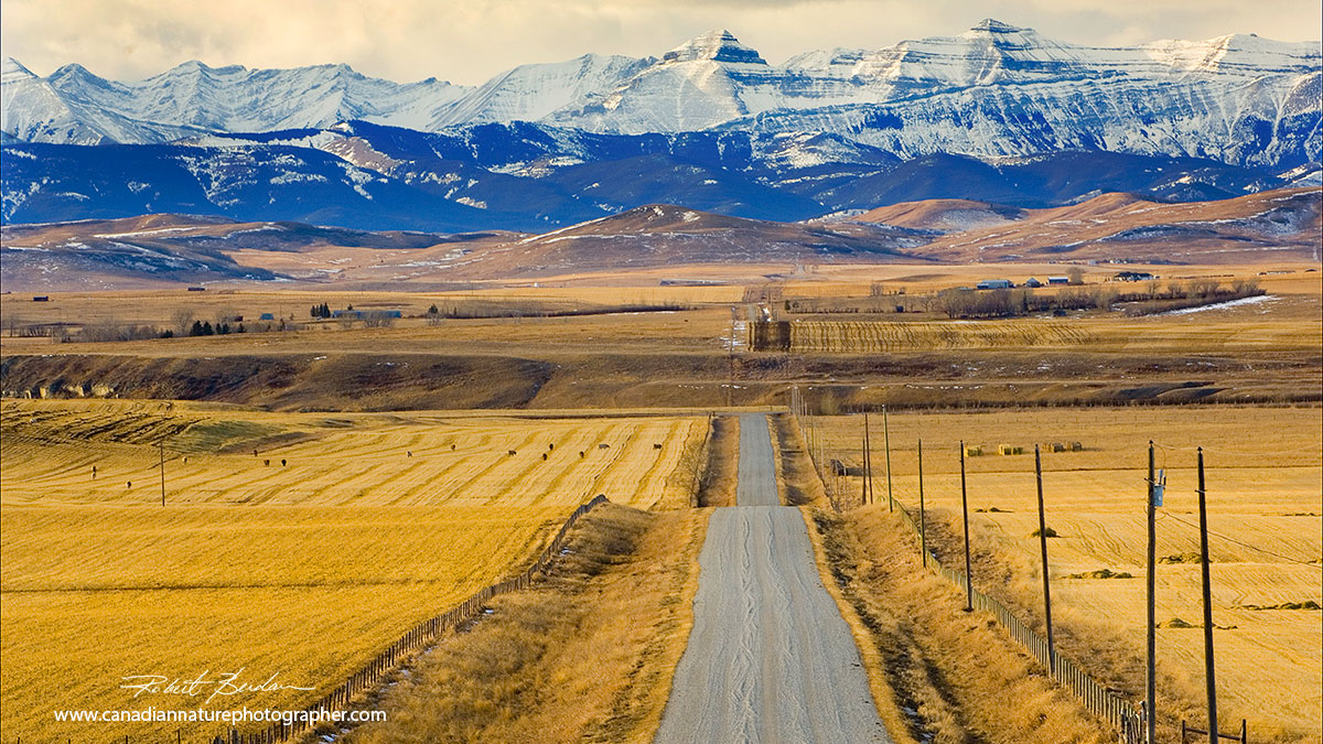 Foothills from a country road near Black Diamond, Alberta Robert Berdan ©