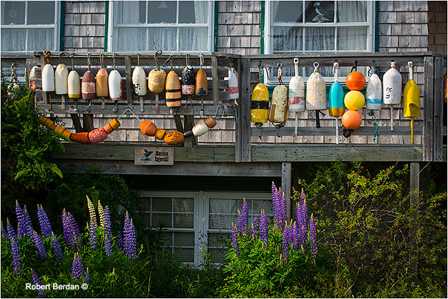 Boat bouys hang from house by Robert Berdan ©