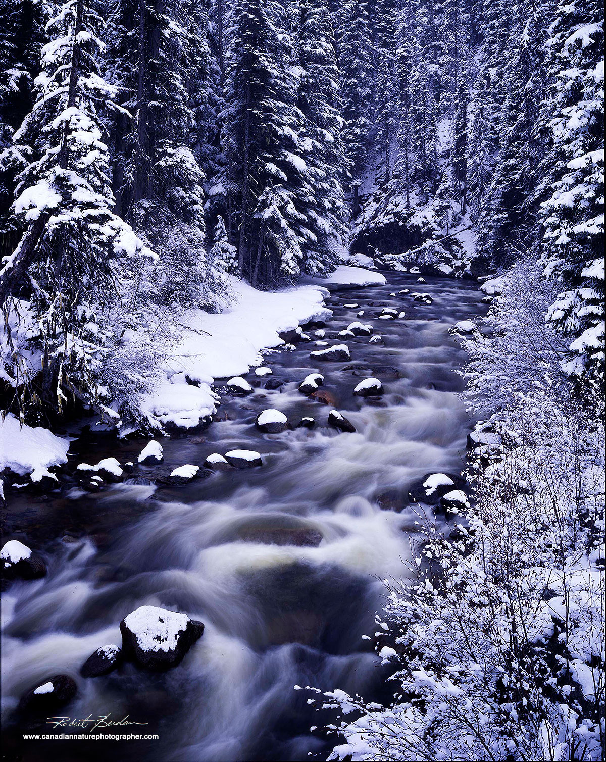 Whitecap creek, BC by Robert Berdan ©