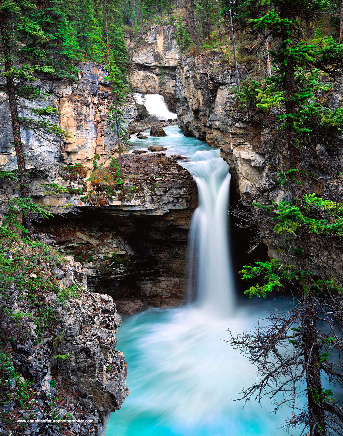 Beauty Creek, Banff National Park, AB  by Robert Berdan ©