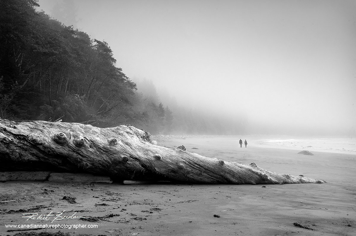 Florencia Bay, Pacific Rim National Park, Vancouver Island  black and white photo by Robert Berdan ©