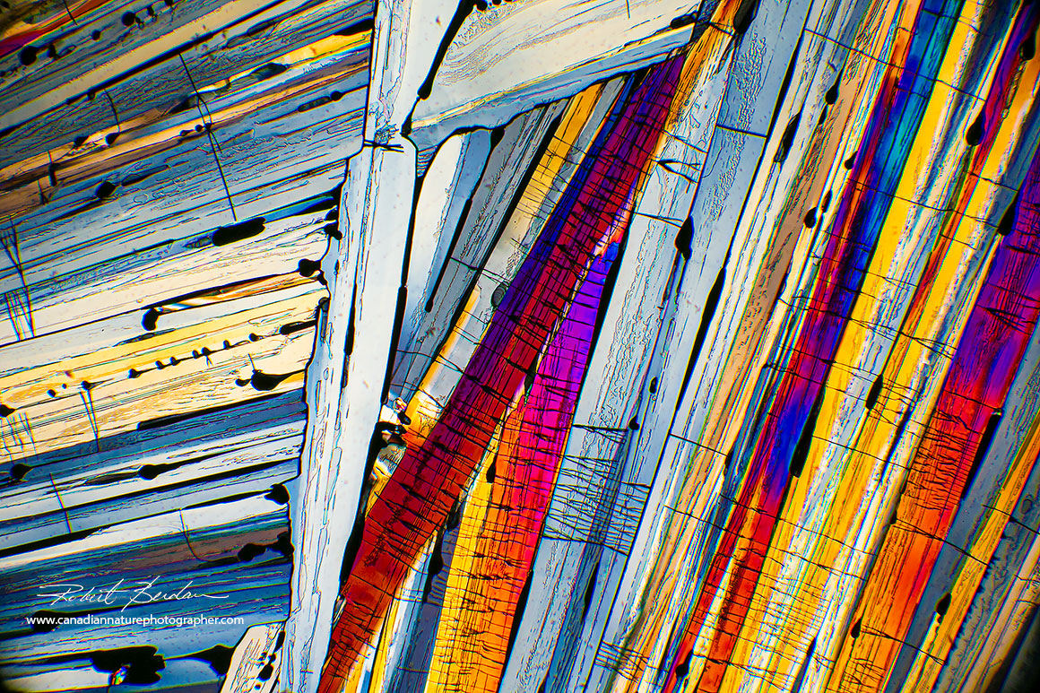 Benzoic acid crystals form long linear crystals 40X polarized light microscopy by Robert Berdan ©