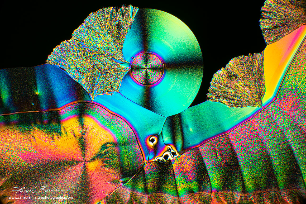 Vitamin C microscape polarized light microscopy Robert Berdan ©