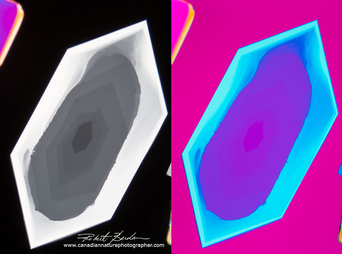 Sulfamic acid crystal on left viewed with polarized light and on the right viewed with polarized light and a full wave retardation filter Robert Berdan ©