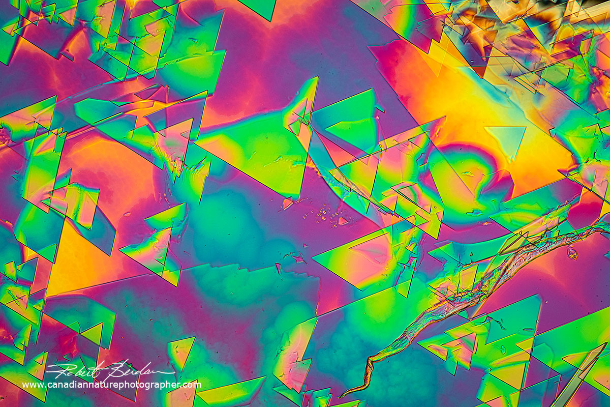 Dopamine in water air dried polarized light microscopy Robert Berdan ©