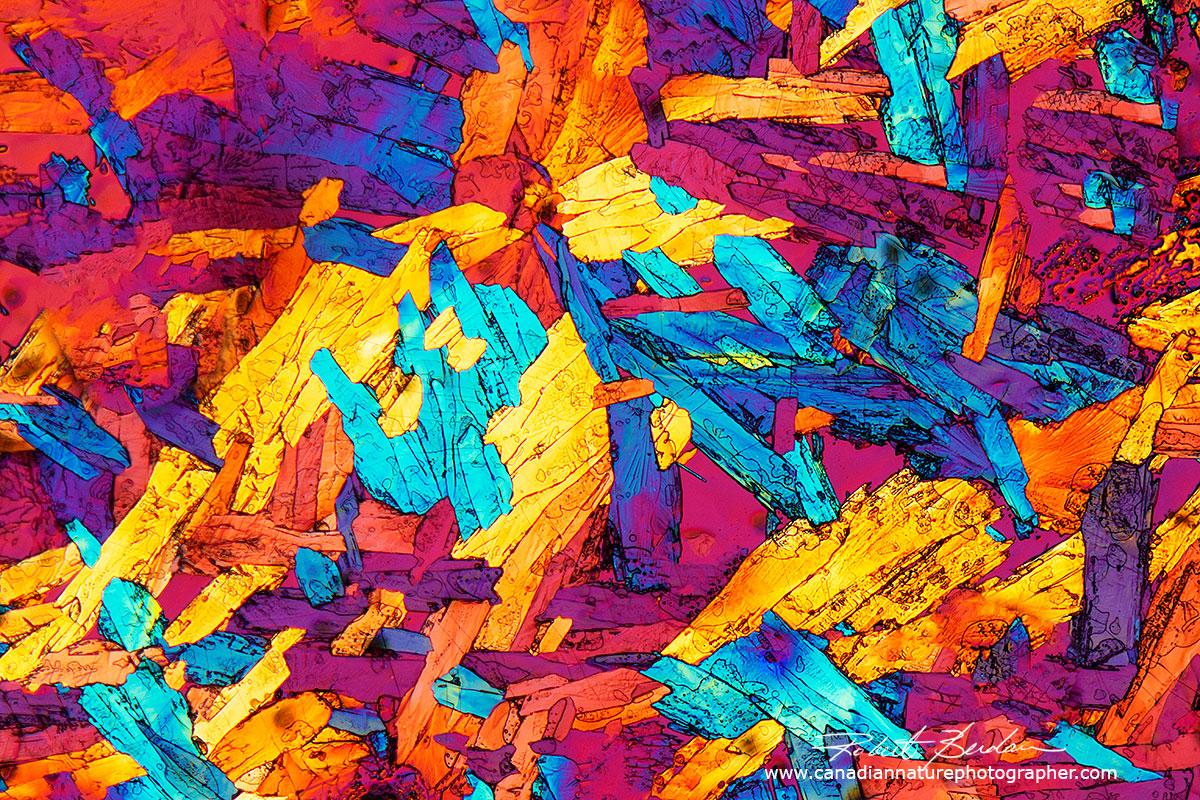 Potassium citrate crystals by polarizing microscopy Robert Berdan ©