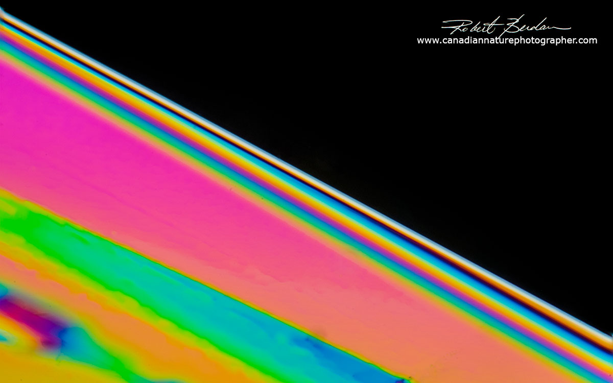 Edge of a crystal of Vitamin C in polarized light showing interference colours Robert Berdan ©