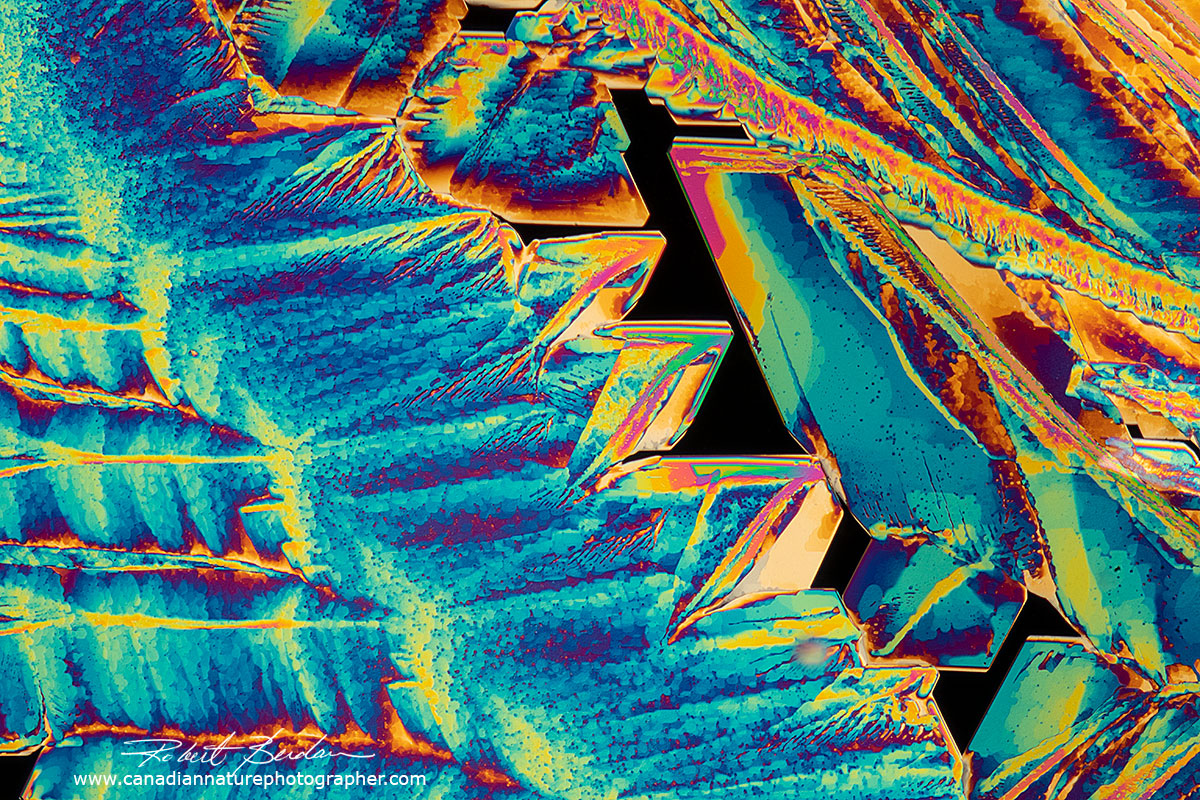 polarized light micrographs of crystals of Zinc Acetate Robert Berdan ©