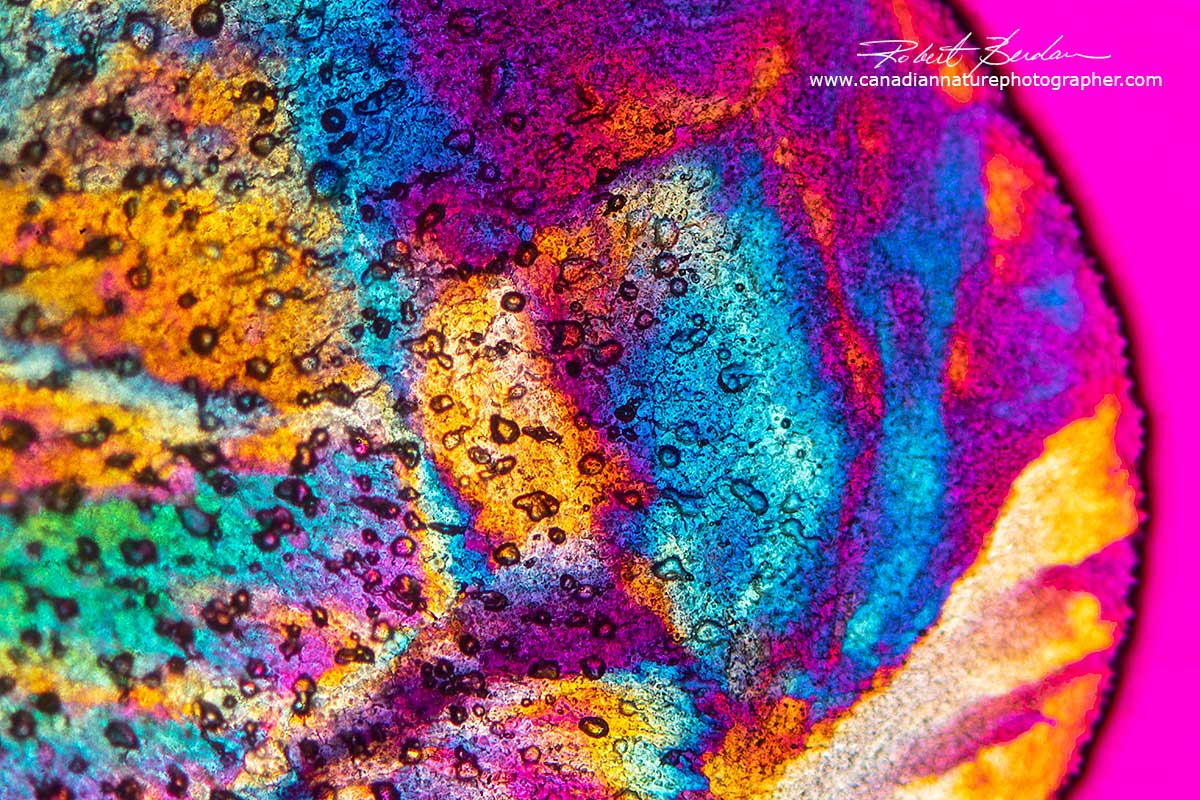 Frozen tap water with air bubbles, polarized light microscopy Robert Berdan ©