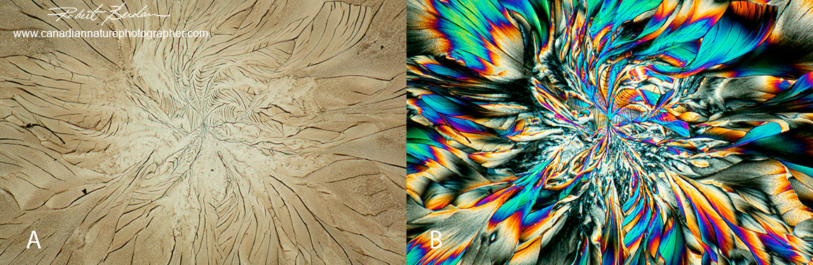 Amino acids viewed by bright-field microscopy and polarized light microscopy by R. Berdan ©