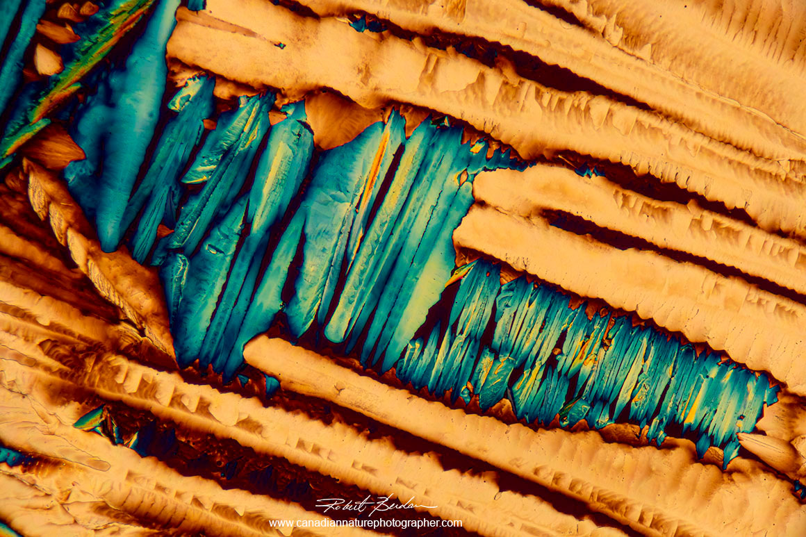 annabis THC crystals in polarized light with a wave plate by R. Berdan ©