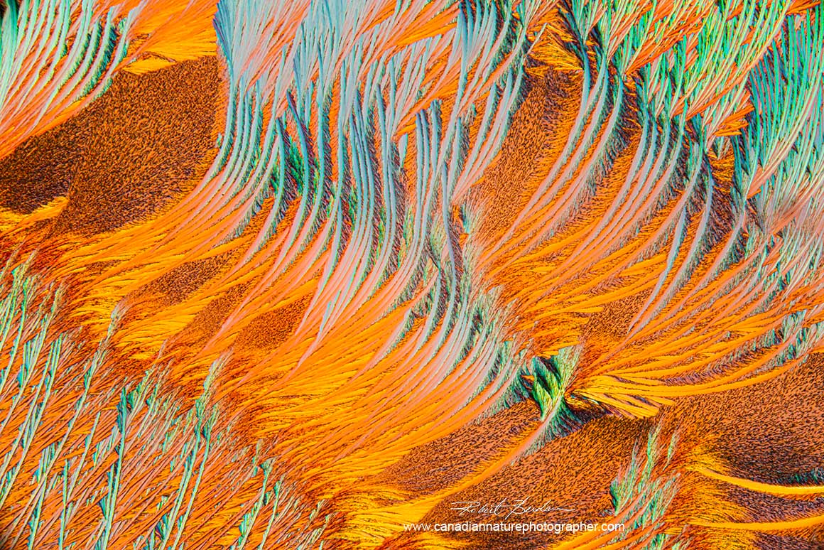 Callus remover (Lifebrand) diluted with 99% isopropyl alcohol. 40X  Polarized light microscopy by Robert Berdan ©