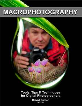 Macrophotography E-book by Robert Berdan 