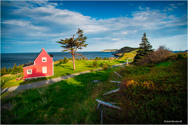 Red House Tors Cove by Robert Berdan ©