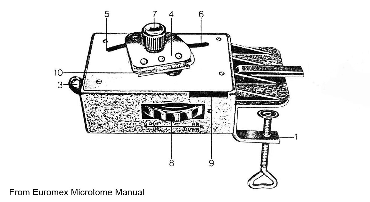 Euromex microtome diagram 