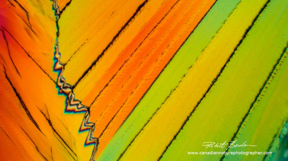 Citric acid crystals by Polarized light microscopy - Abstract by Robert Berdan ©