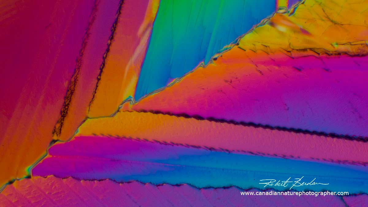 Citic Acid Crystals in Polarized light - Abstract  by Robert Berdan 