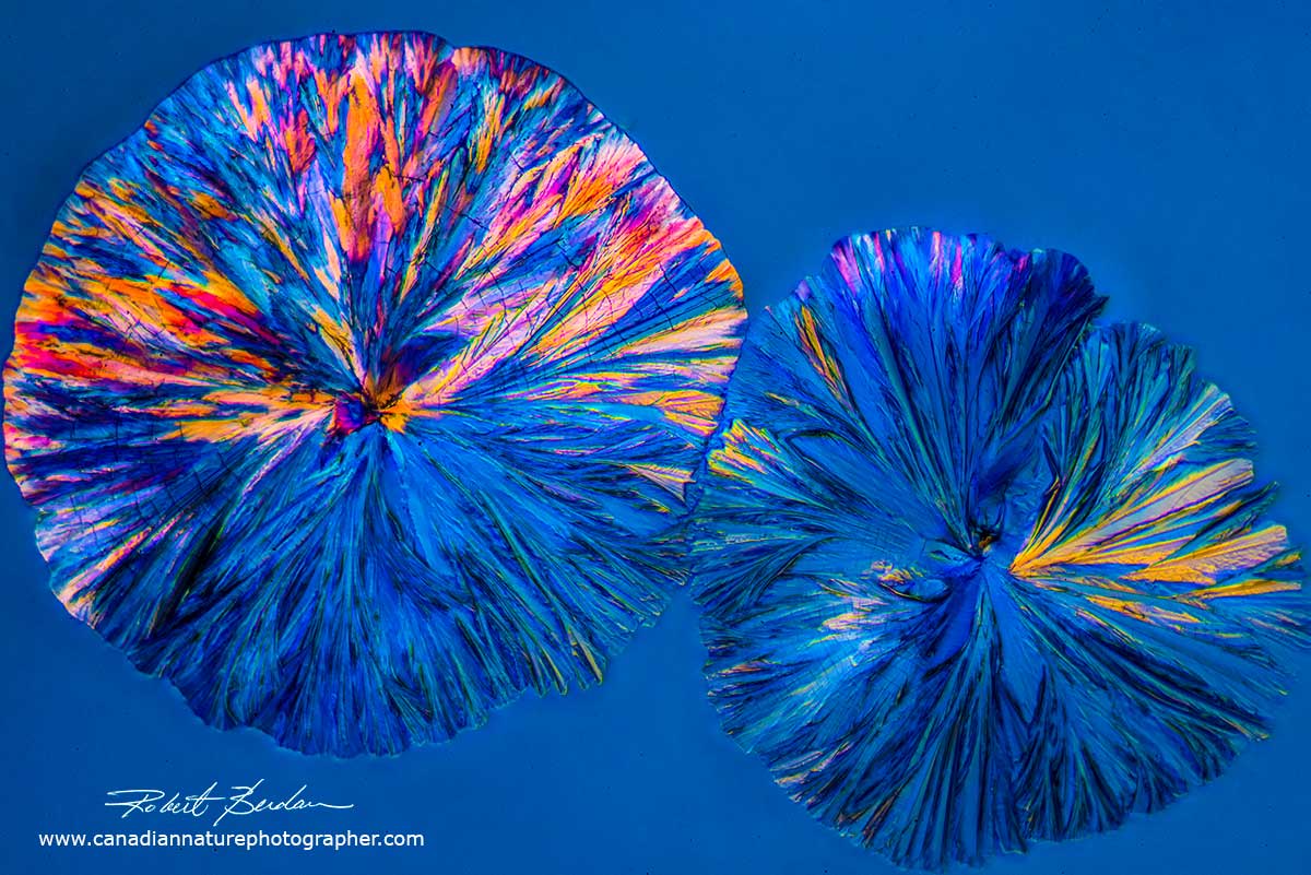 Citric acid crystals by Polarized light microscopy - Abstract Art by Robert Berdan ©