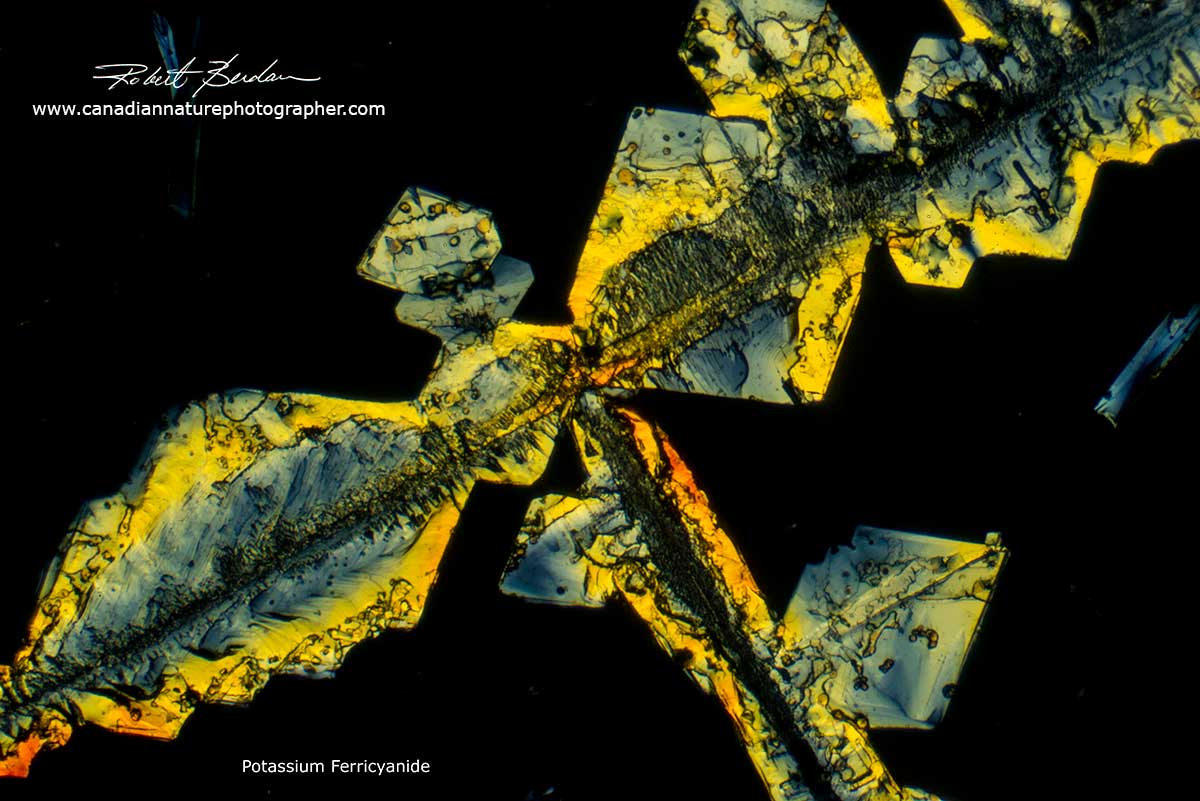 Potassium Ferricyanide crystal in Poloarized light - abstract art by Robert Berdan  ©