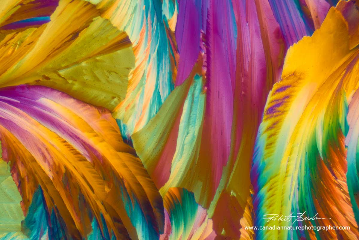 Abstract art - Citric acid crystals in polarized light by Robert Berdan ©