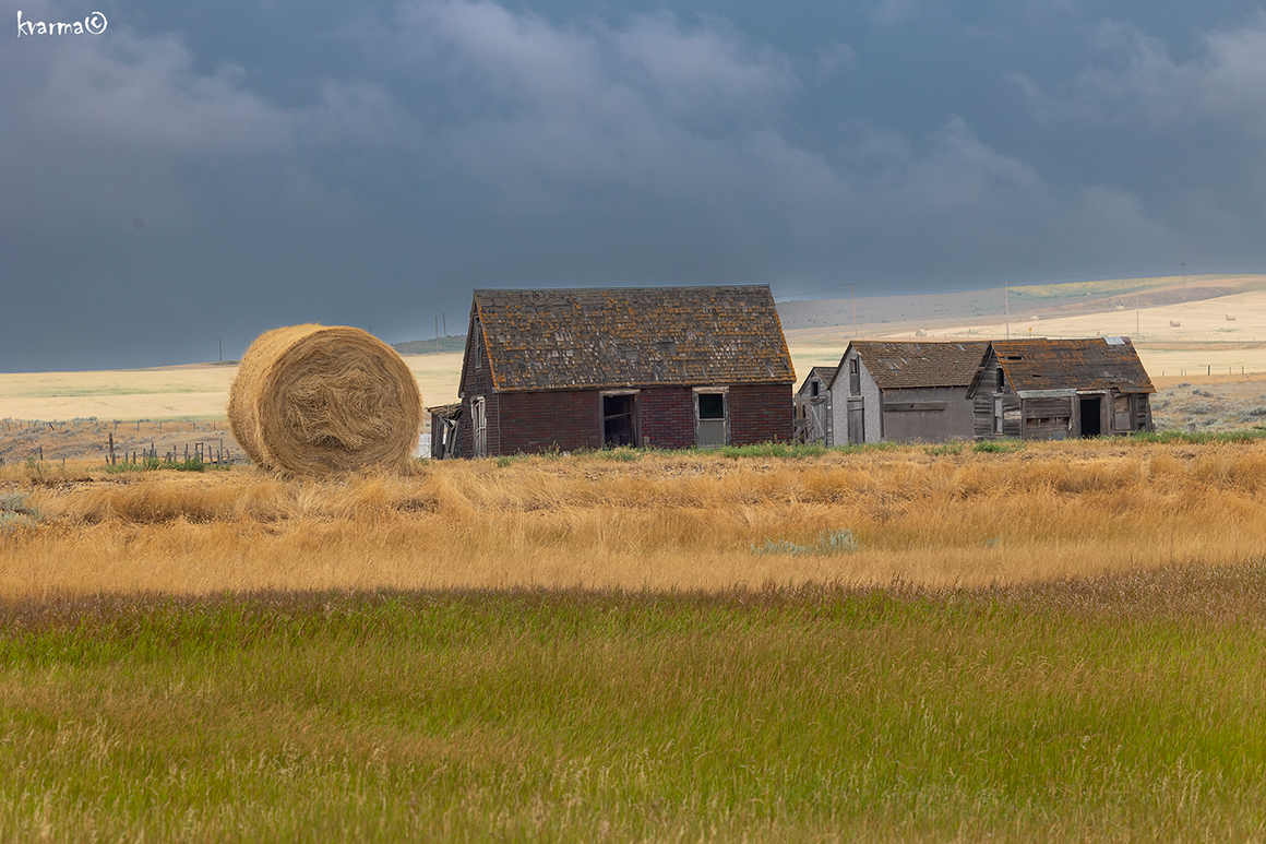 Homestead on the east side of Grasslands Park by Kamal Varma ©