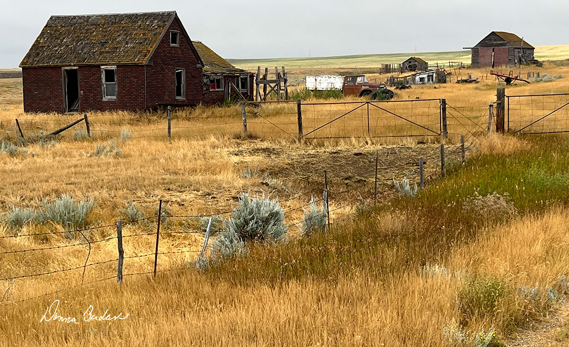 Fence south of Val Marie