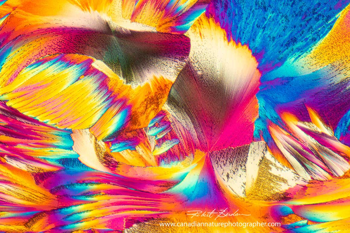Red wine by polarized light microscopy 100X  by Robert Berdan ©