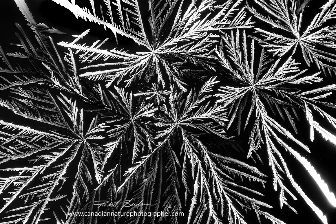 artaric acid crystals by polarized light microscopy 100X by Robert Berdan ©
