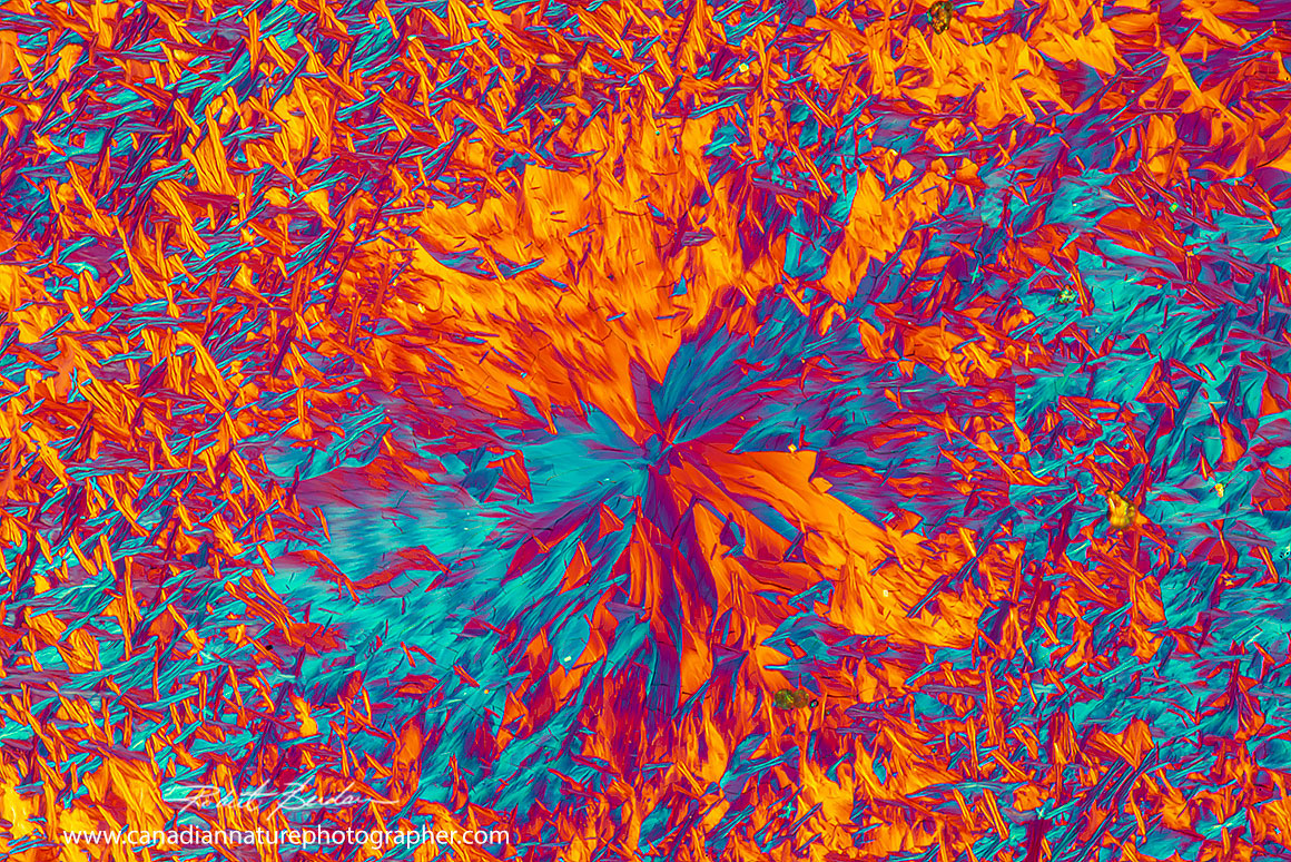 Tartaric acid crystals from wine by polarized light microscopy 100X  by Robert and Brandon Berdan ©