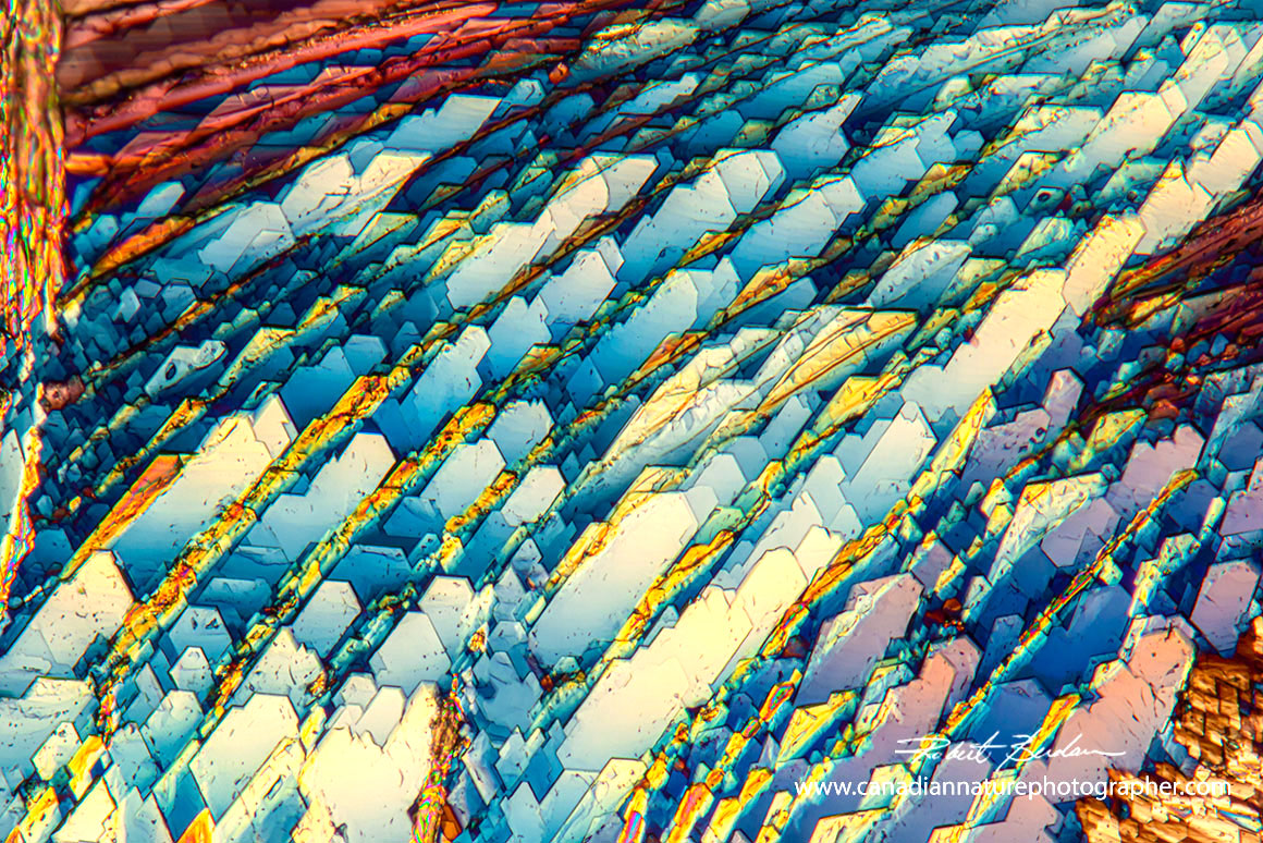 Red wine crystals viewed by polarized light microscopy 100X by Robert Berdan ©