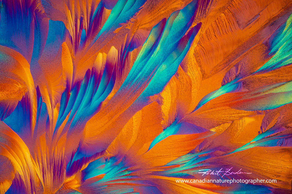 Red wine from Napa Valley by polarized light microscopy  by Robert Berdan ©