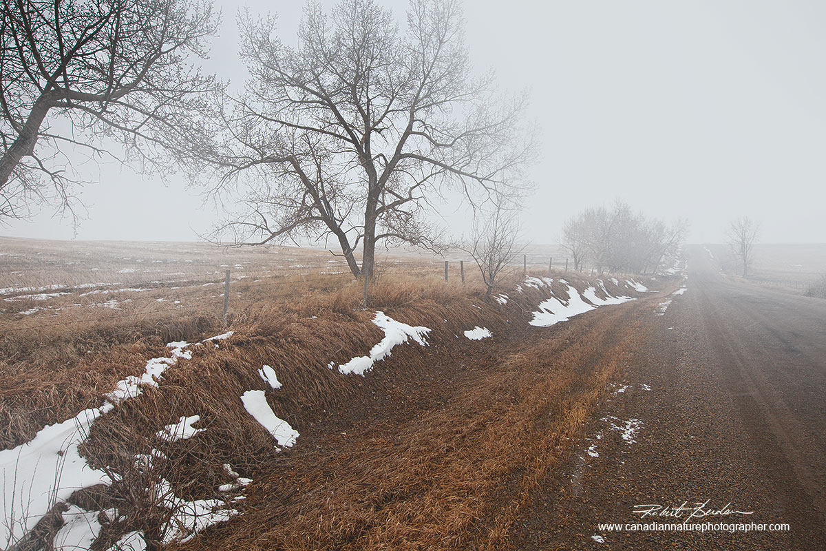irt road north of Calgary on a foggy winter day Robert Berdan ©