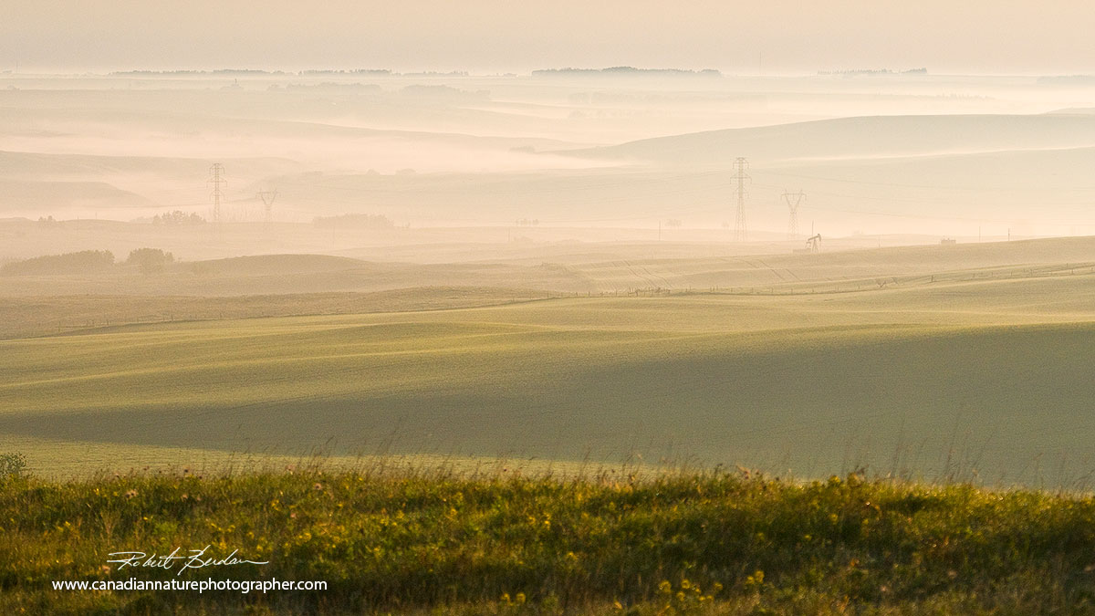 Morning fog north of Calgary Robert Berdan ©