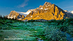 Bow mountain in Jasper National Park by Robert Berdan ©