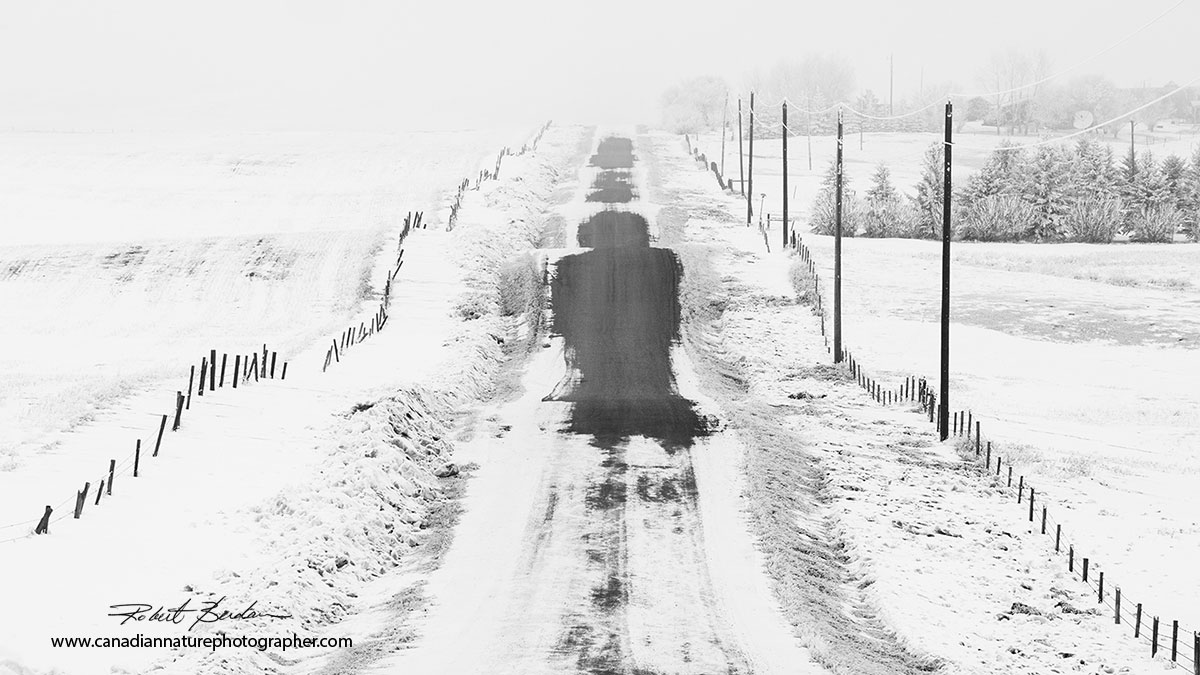 Winter road north of Calgary black and white Robert Berdan ©