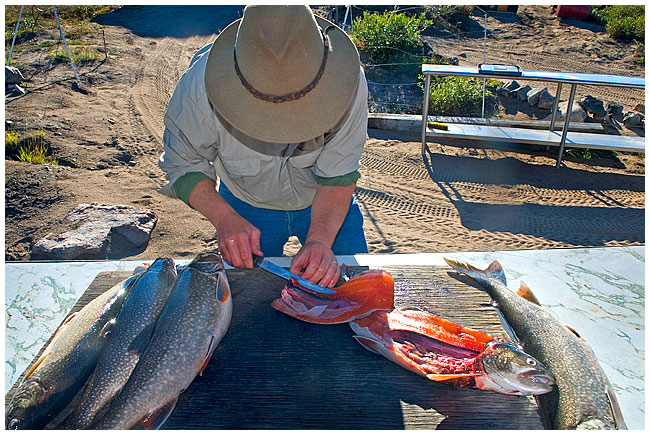 Egan Wuth preparing lake trout for dinner by Robert Berdan ©