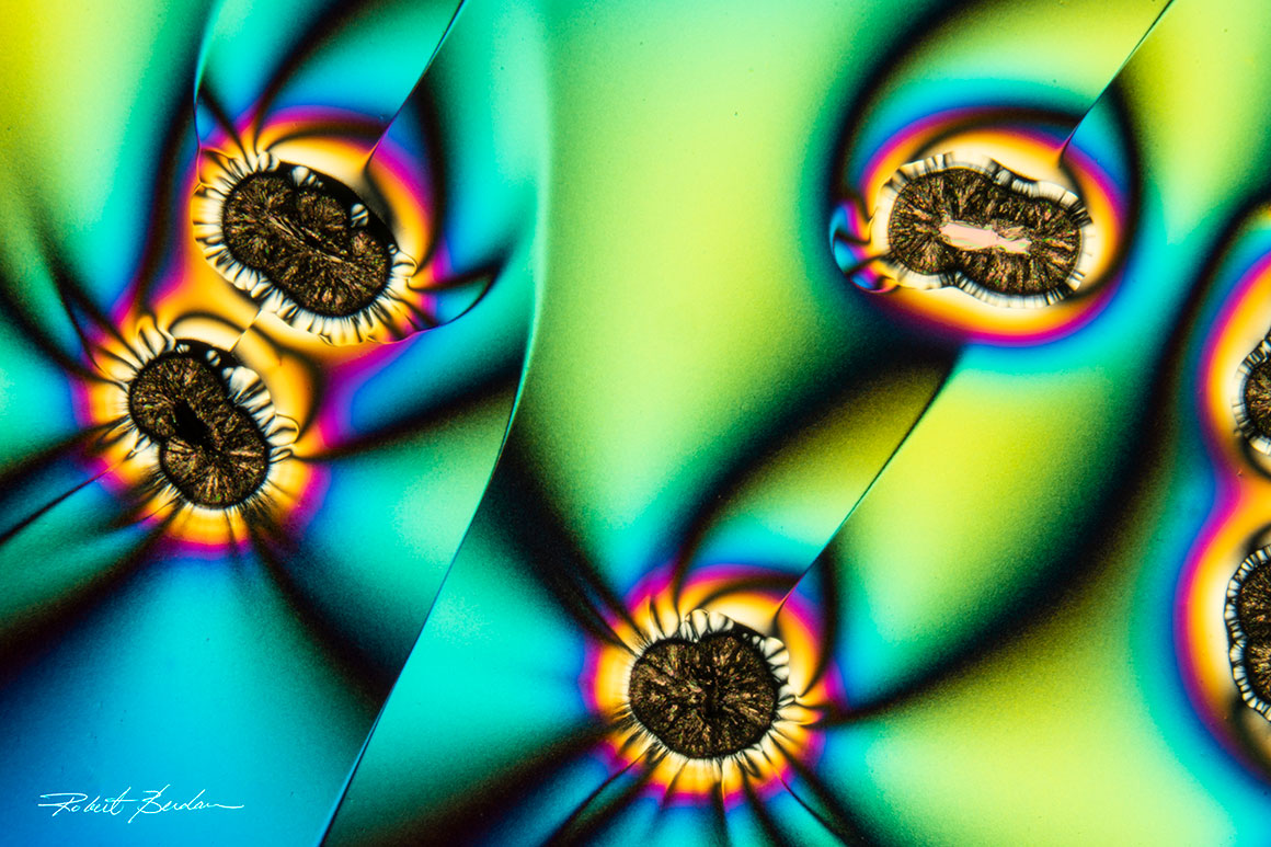 Vitamin C Crystals viewed by polarized light microscopy. 200X by Robert C. Berdan