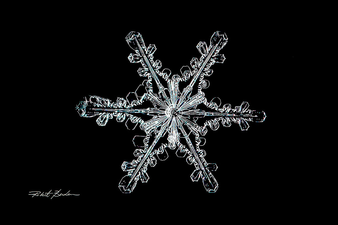 Snowflake by Rober C Berdan 25x. 