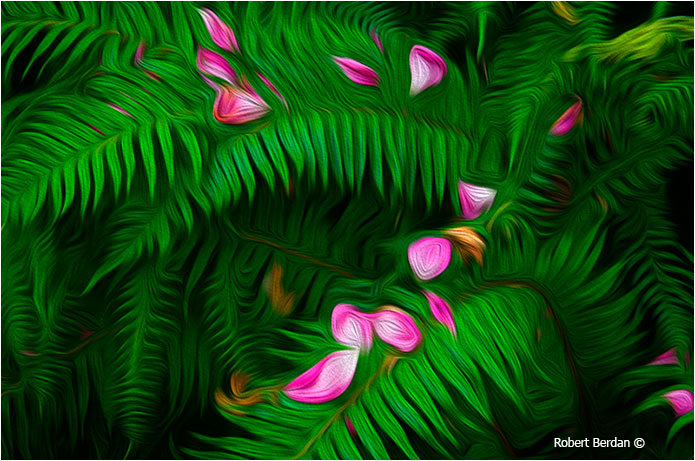 Ferns simulated oil painting in Adobe Photoshop CS6 by Robert Berdan 