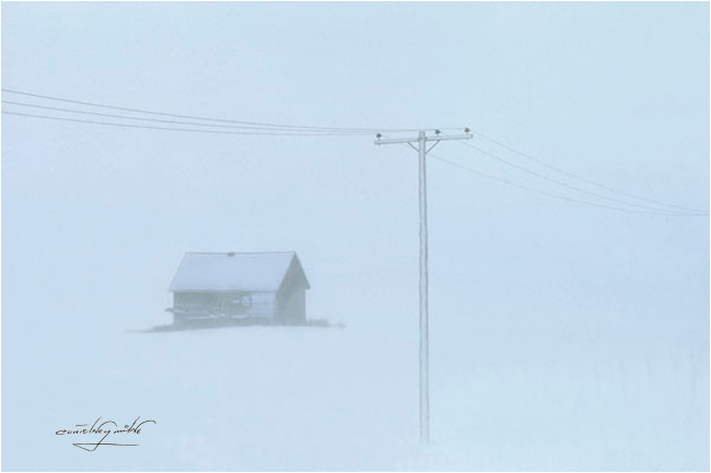 Winter on the Prairie by Courtney Milne ©