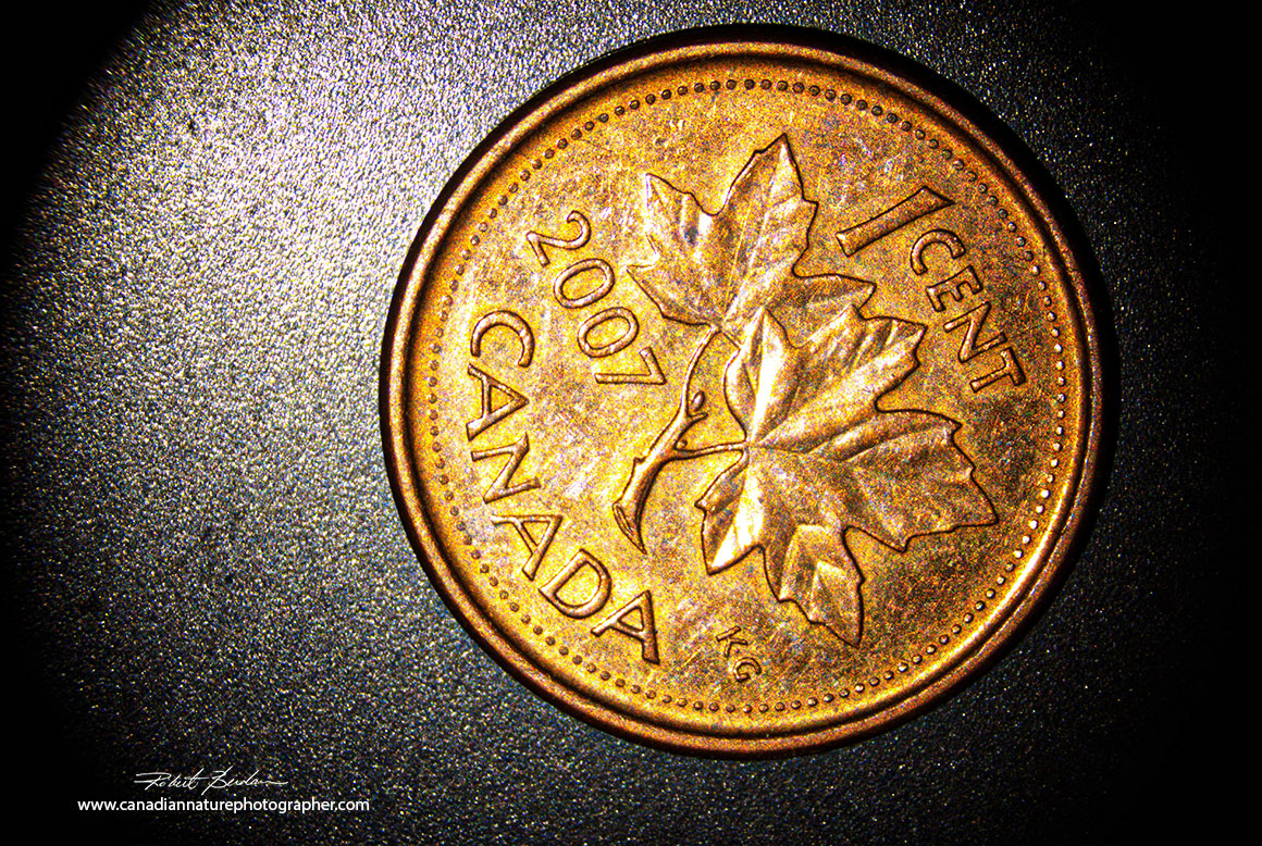 Canadian Penny Zeiss Stemi and Rising Cam Robert Berdan ©