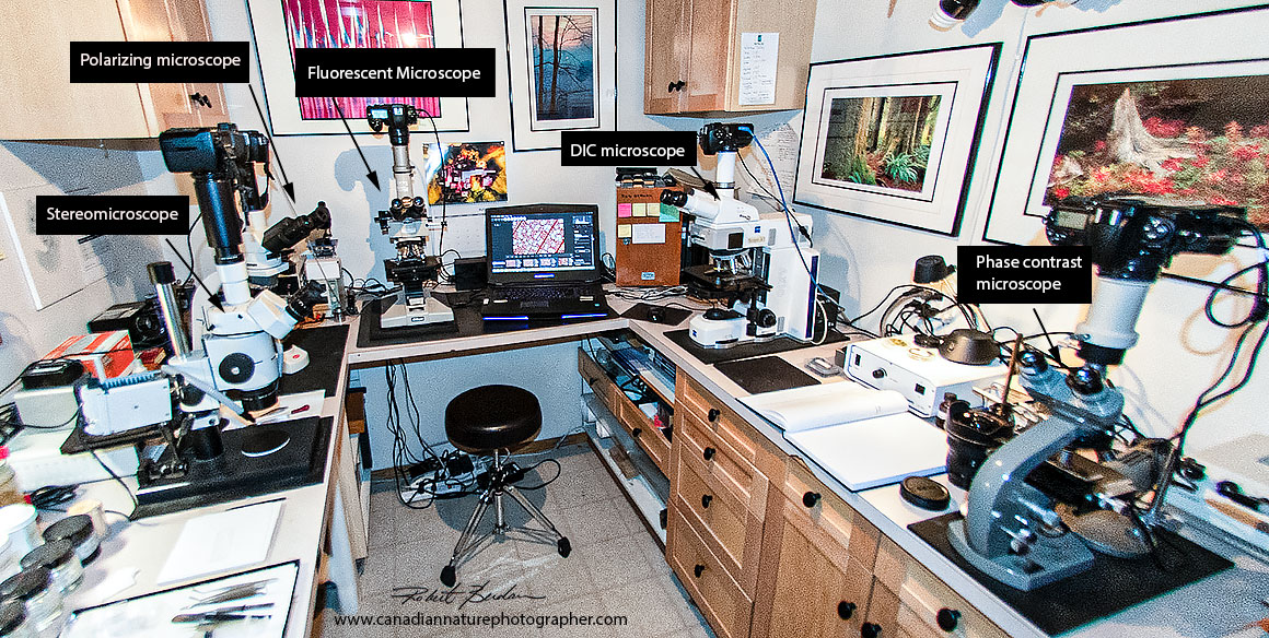 Microscopy laboratory in Darkroom by Robert Berdan ©
