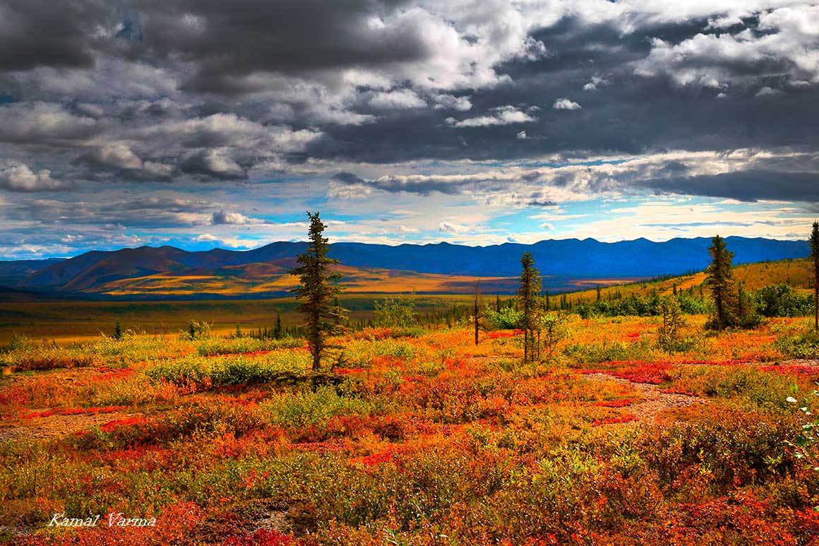 Tundra by Kamal Varma next the Arctic circle marker on the Dempster highway
