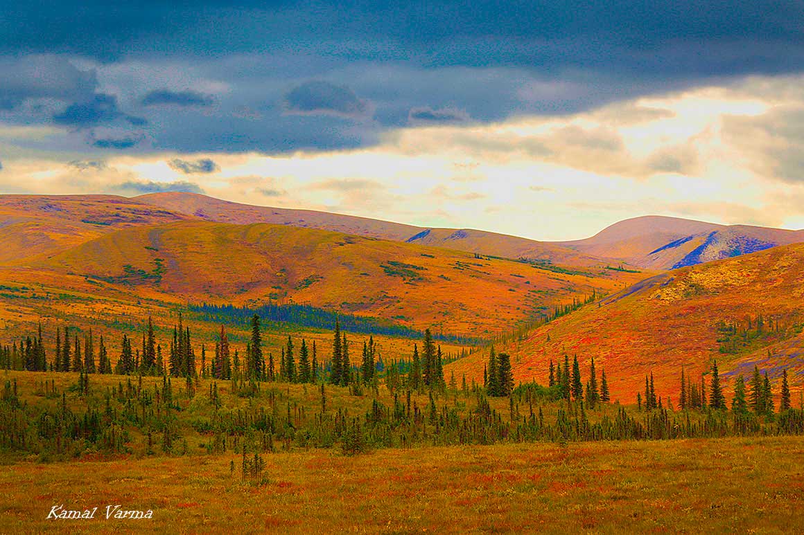 Rolling hills along the Dempster by Kamal Varma 