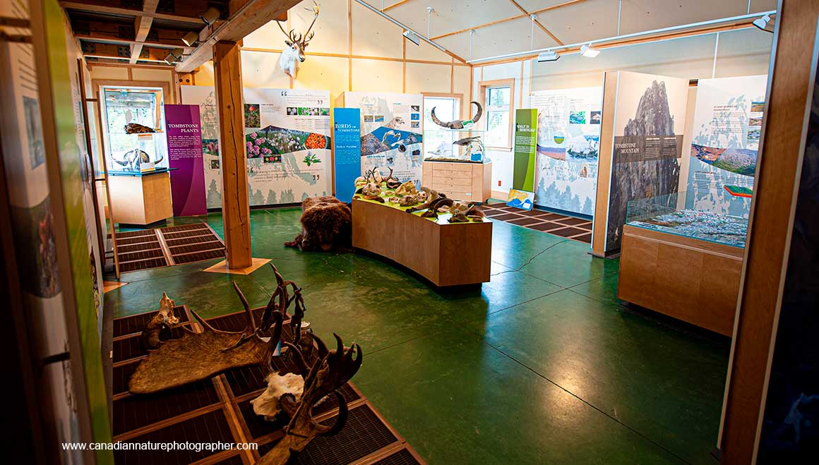 Inside the Tombstone visitor center on the Dempster 