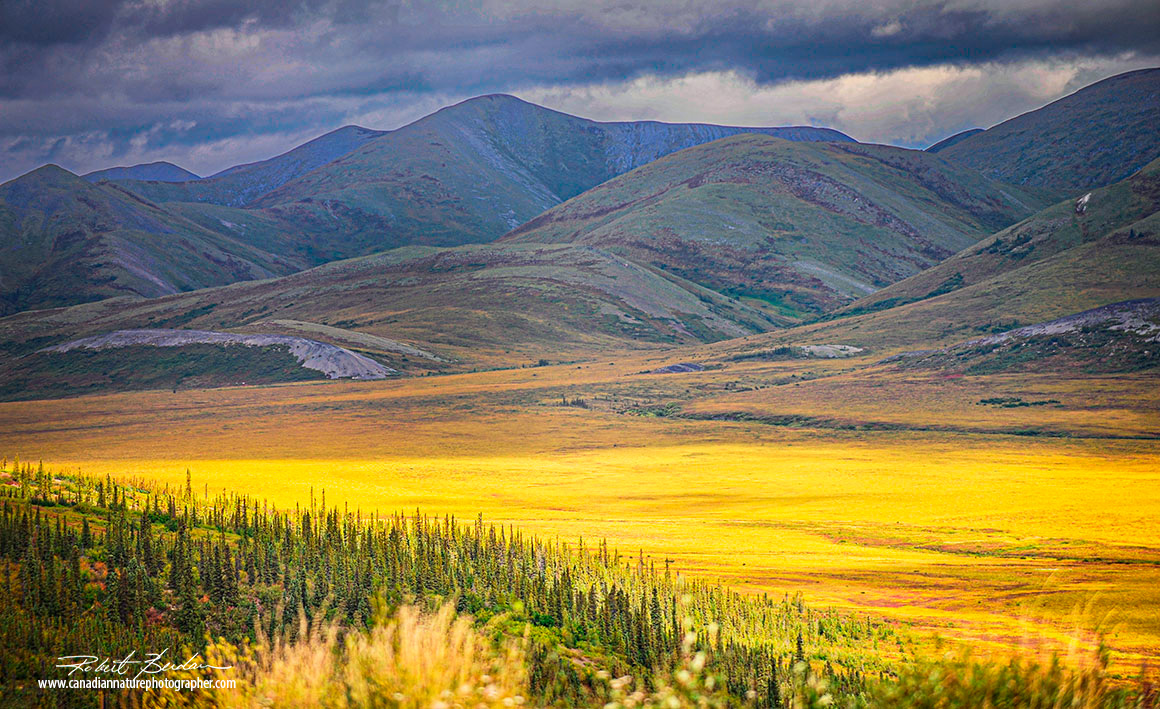 Dempster highway before we reached Eagle Plains by Robert Berdan 