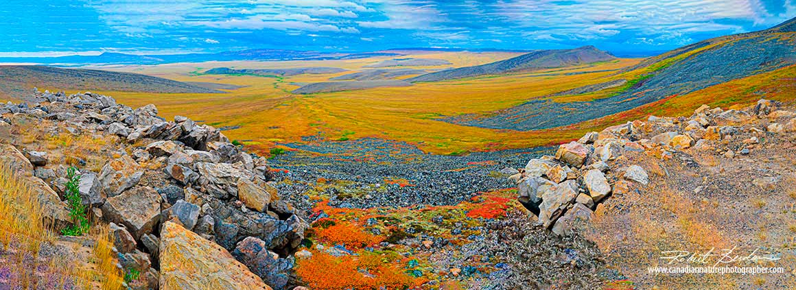 Wright Pass along the Dempster highway by Robert Berdan 
