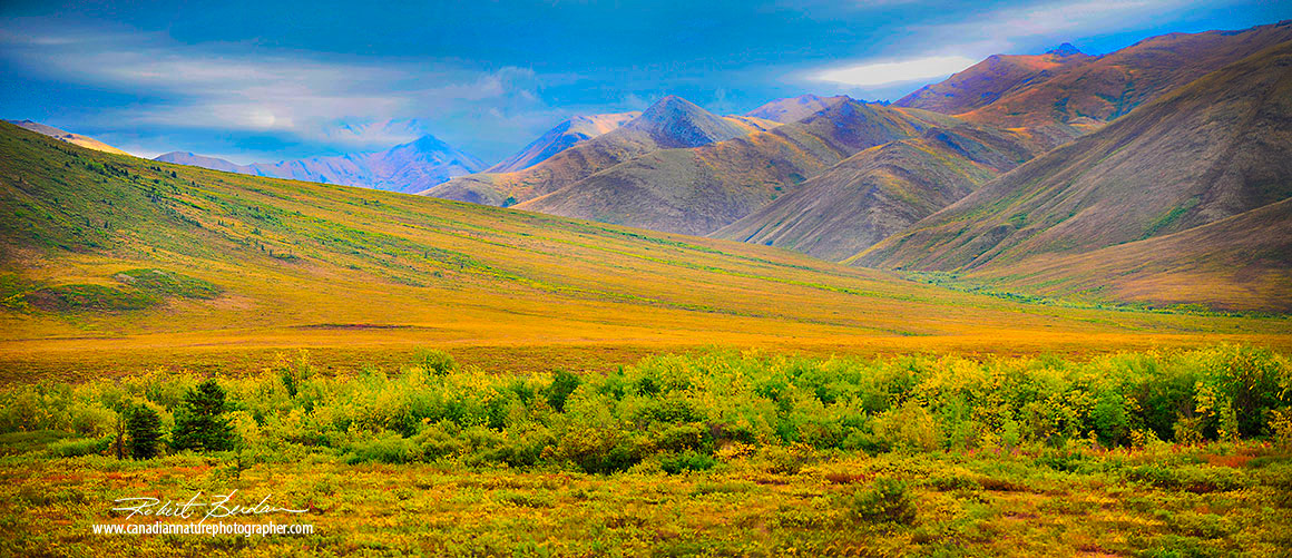 Mountains and tundra adjacent to the Dempster highway Robert Berdan 
