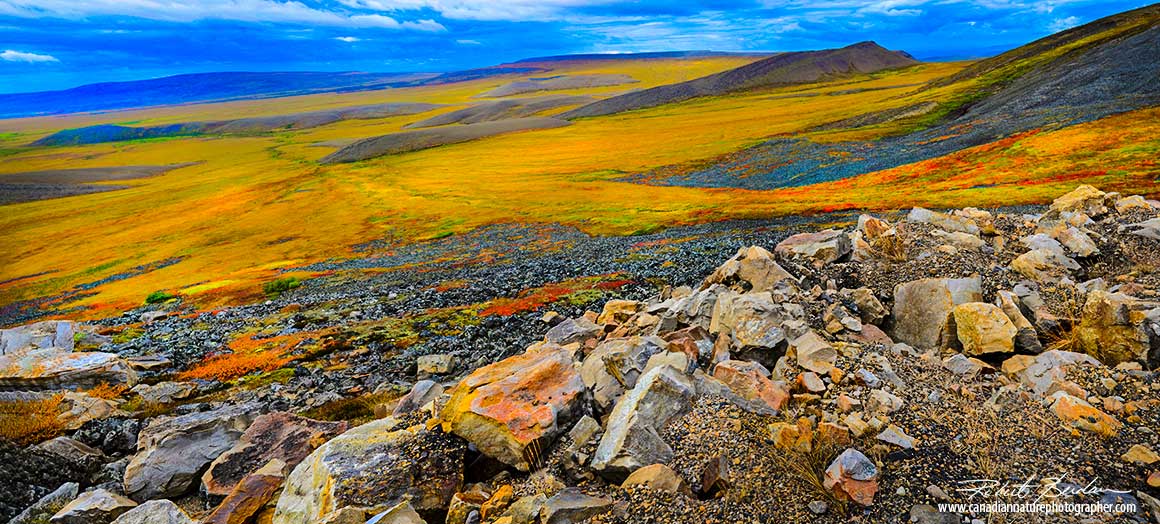 Wrights Pass along the Dempster highway by Robert Berdan 