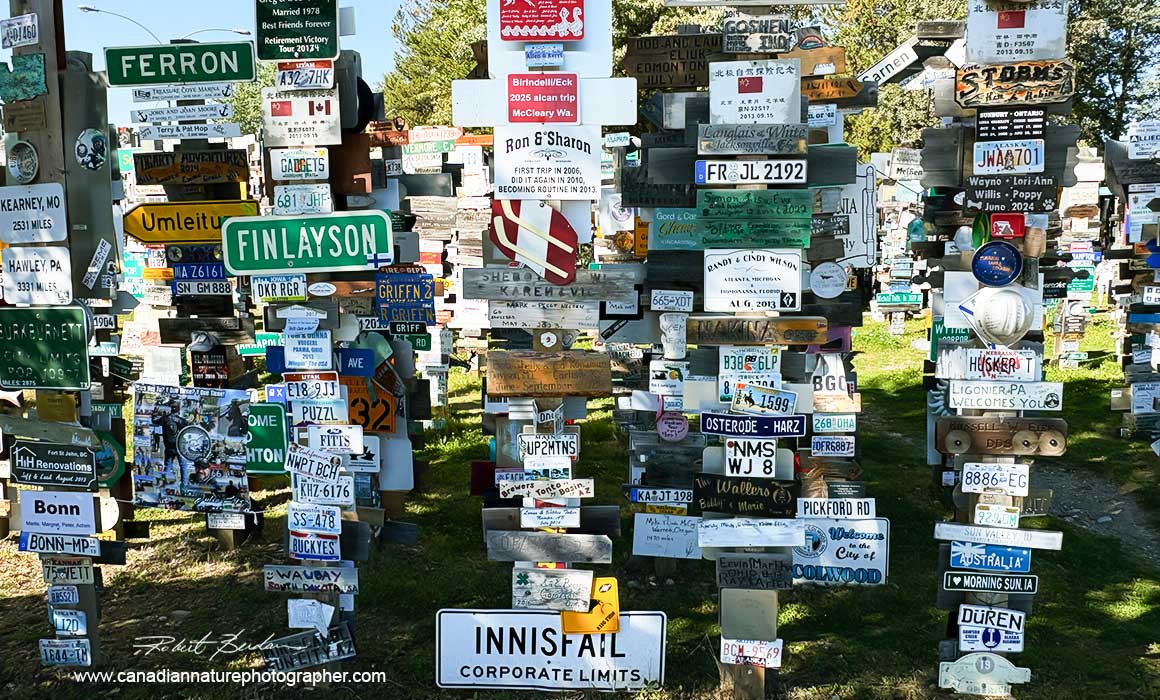 Sign Forest is a collection of over 90,000 signs located in Watson Lake, Yukon by Robert Berdan 